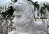 “The Significance of Feng Shui Lions: A Guide to Unlocking Their Power”