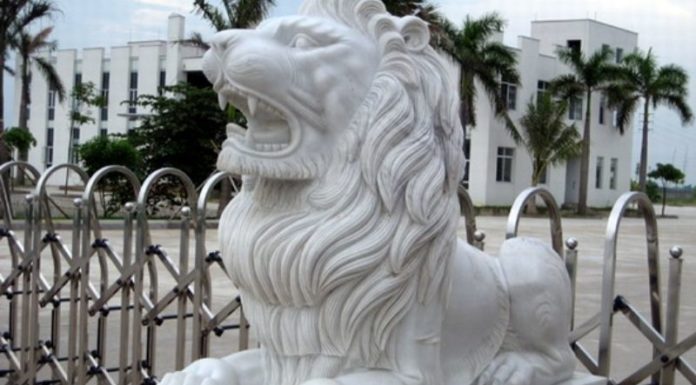 “The Significance of Feng Shui Lions: A Guide to Unlocking Their Power”