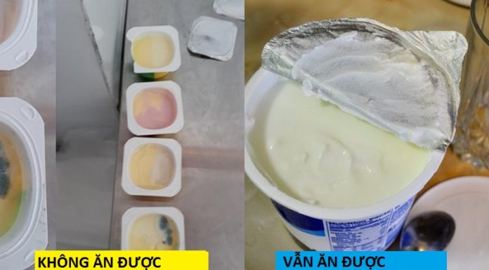 Can Expired Yogurt Be Consumed? How to Make Use of Expired Yogurt