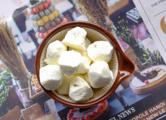 Yo’V Freeze-Dried Yogurt – A Nutritious and Unique Snacking Experience