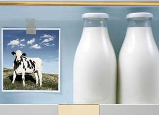 Can Drinking Yogurt Be a Substitute for Fresh Milk?