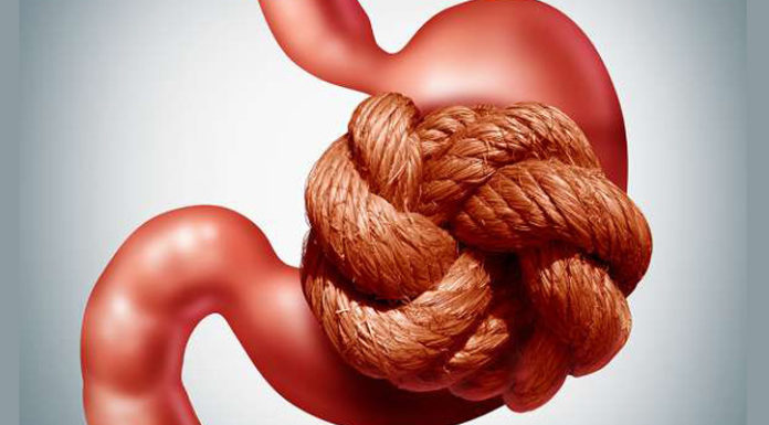 Why You Shouldn’t Drink Milk with Chicken: Unveiling the Mystery