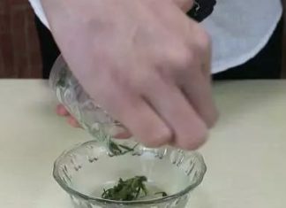 The Ultimate Guide to Eliminating Bathroom Odor During Summer