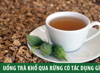 The Benefits of Wild Bitter Melon Tea and Precautions for Consumption