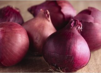 The Ultimate Guide to Understanding the Difference Between Spring Onions and Red Onions