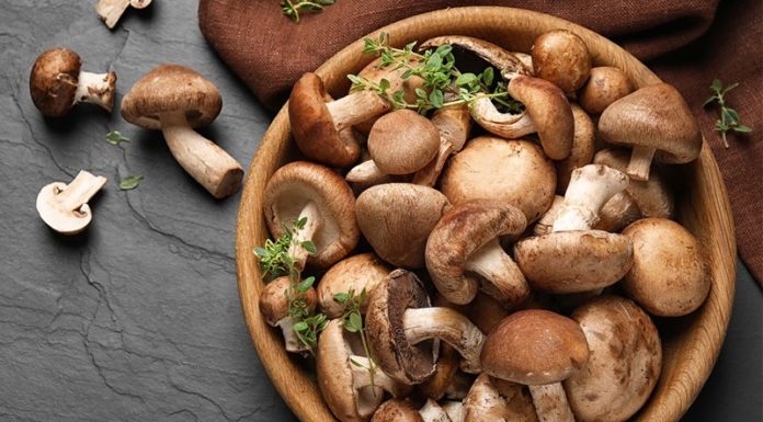 The Magical Health Benefits of Shiitake Mushrooms: Unlocking Nature’s Secrets