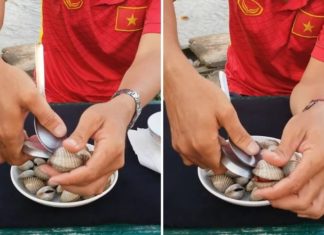The Ultimate Guide to Shucking Blood Cockles: A Speedy and Stress-Free Approach