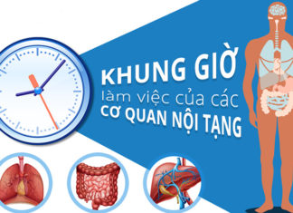 Why Do Some People Experience Stomach Aches After Breakfast and How Can It Be Fixed?