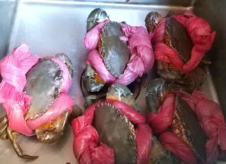 Why are live crabs tied with thick ropes and sold with water-filled mouths?