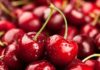 Why You Should Splurge on Cherries at Least Once