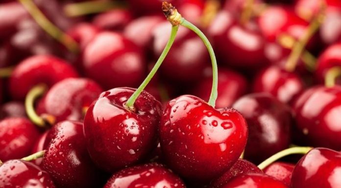 Why You Should Splurge on Cherries at Least Once
