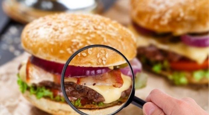 Why Food Spoils: Understanding the Causes and Learning Proper Storage Methods