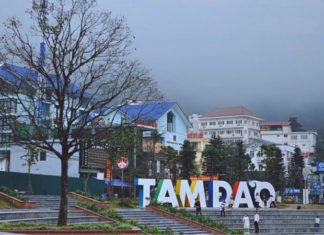 What Specialties Does Tam Dao Offer? 15 Delicious Tam Dao Specialties to Try and Buy as Souvenirs.