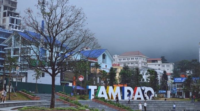 What Specialties Does Tam Dao Offer? 15 Delicious Tam Dao Specialties to Try and Buy as Souvenirs.