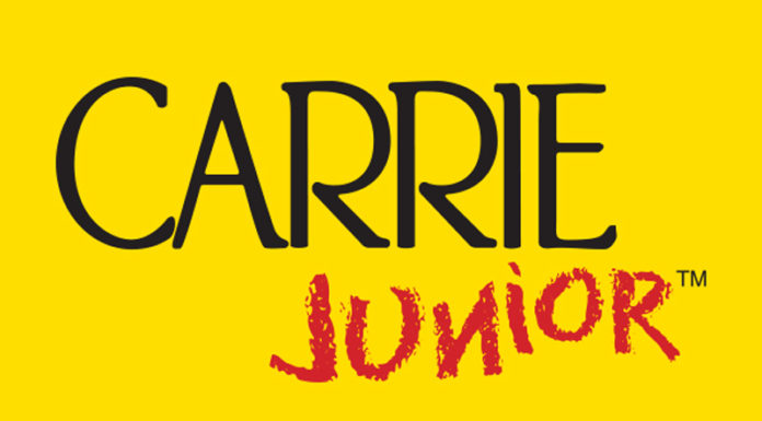 Is the Carrie Junior Baby Bath Good? What Types Are There?