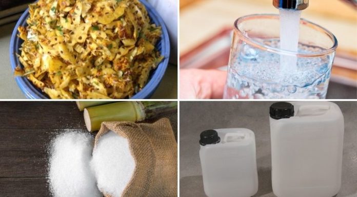 The Ultimate Guide to Pest Control: Using Citrus to Your Advantage