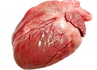 Animal Offal: To Eat or Not to Eat?