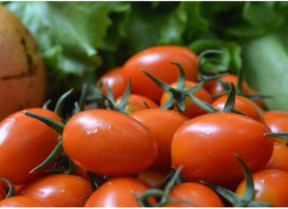 Creating Super Cute Tulip Figures with Cherry Tomatoes
