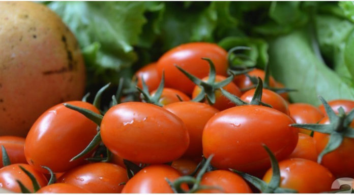 Creating Super Cute Tulip Figures with Cherry Tomatoes