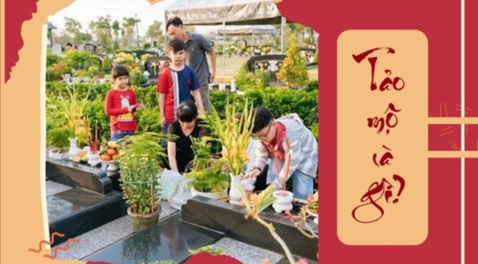 What is Tomb-Sweeping? Best Timing for Tomb-Sweeping 2024.