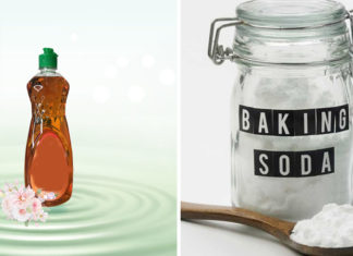 Eradicate Mold from Plastic Items with These 2 Easy Tips that Anyone Can Do