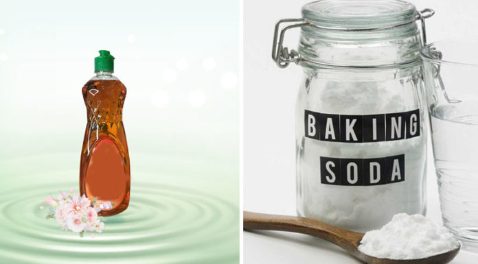 Eradicate Mold from Plastic Items with These 2 Easy Tips that Anyone Can Do