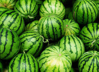 The Ultimate Guide to Lunar New Year: Display These Fruits for an Abundance of Wealth