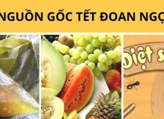 What is Tết Đoan Ngọ? When is Tết Đoan Ngọ 2024? History and Significance.