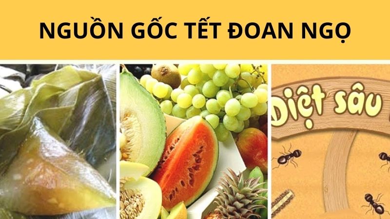 What is Tết Đoan Ngọ? When is Tết Đoan Ngọ 2024? History and Significance.