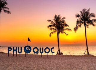 Where to Travel for Tet Holiday? 15 Domestic Destinations for Tet 2024