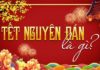 What is Tet Holiday? The Significance and Origins of Tet Holiday