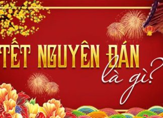 What is Tet Holiday? The Significance and Origins of Tet Holiday