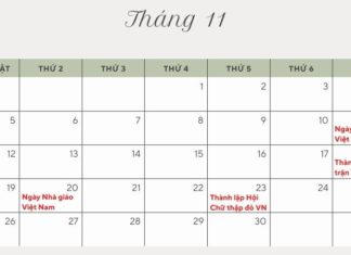 What Holidays Are in November? November Holidays and Observances