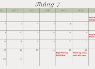 What Holidays and Observances Are in July?