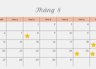 What Holidays and Observances Are in August?