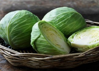 What Vegetables Can You Plant in September for an Abundant Harvest With Minimal Effort?