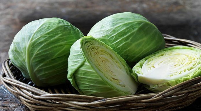 What Vegetables Can You Plant in September for an Abundant Harvest With Minimal Effort?