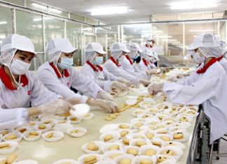 What is a Product Launch? Sequence and Procedure for Self-Declaration