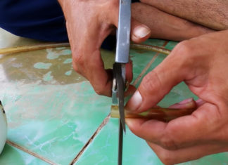 “Supercharge Your Shower: Save Up to 50% on Shampoo and Body Wash”