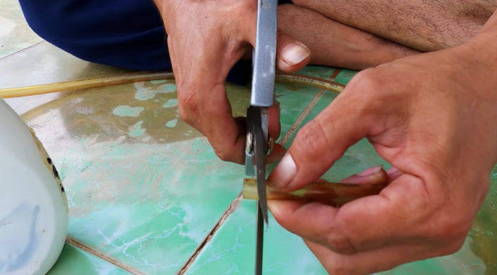 “Supercharge Your Shower: Save Up to 50% on Shampoo and Body Wash”