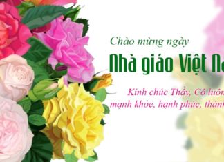 A Heartfelt Collection of Wishes for Teachers on November 20th