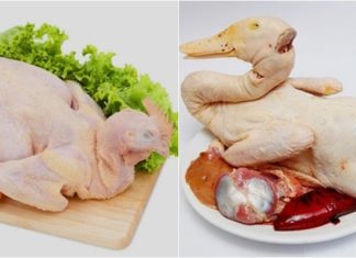The Ultimate Poultry Showdown: Chicken vs. Duck Meat – Which is the Tastiest?