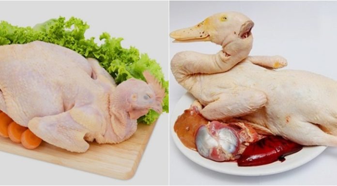 The Ultimate Poultry Showdown: Chicken vs. Duck Meat – Which is the Tastiest?