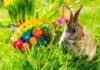 What is the Easter Bunny? The Symbolic Meaning of the Easter Bunny