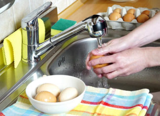The Dangers of Washing Eggs: How This Common Practice Can Lead to Quicker Spoilage