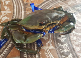 The Ultimate Guide to Crab: Nutrition, Selection, and Preparation