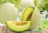 The Ultimate Guide to Honeydew Melon – Selection, Preparation, and Pricing