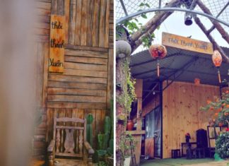 “Unwind in Nature: Discover the Peaceful Cafe in the Heart of Bao Loc’s Mountains, Free from Wifi.”