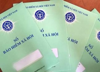 “Social Security Registration: A Comprehensive Guide for First-Time Employers and Employees”