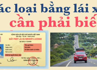 The Latest In-Person and Online Driver’s License Renewal Procedures